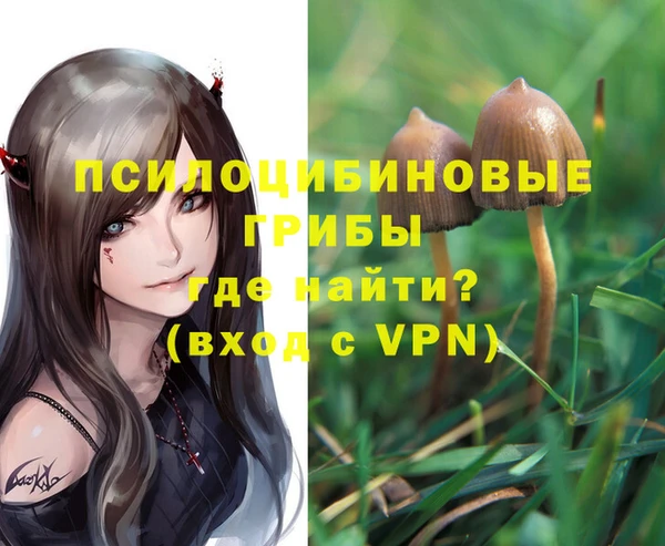 амфетамин Алексеевка