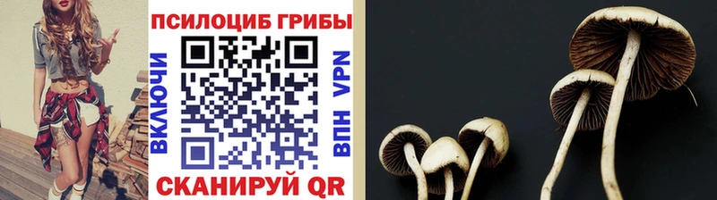 хочу наркоту  ссылка на мегу как зайти  Галлюциногенные грибы Psilocybine cubensis  Микунь 